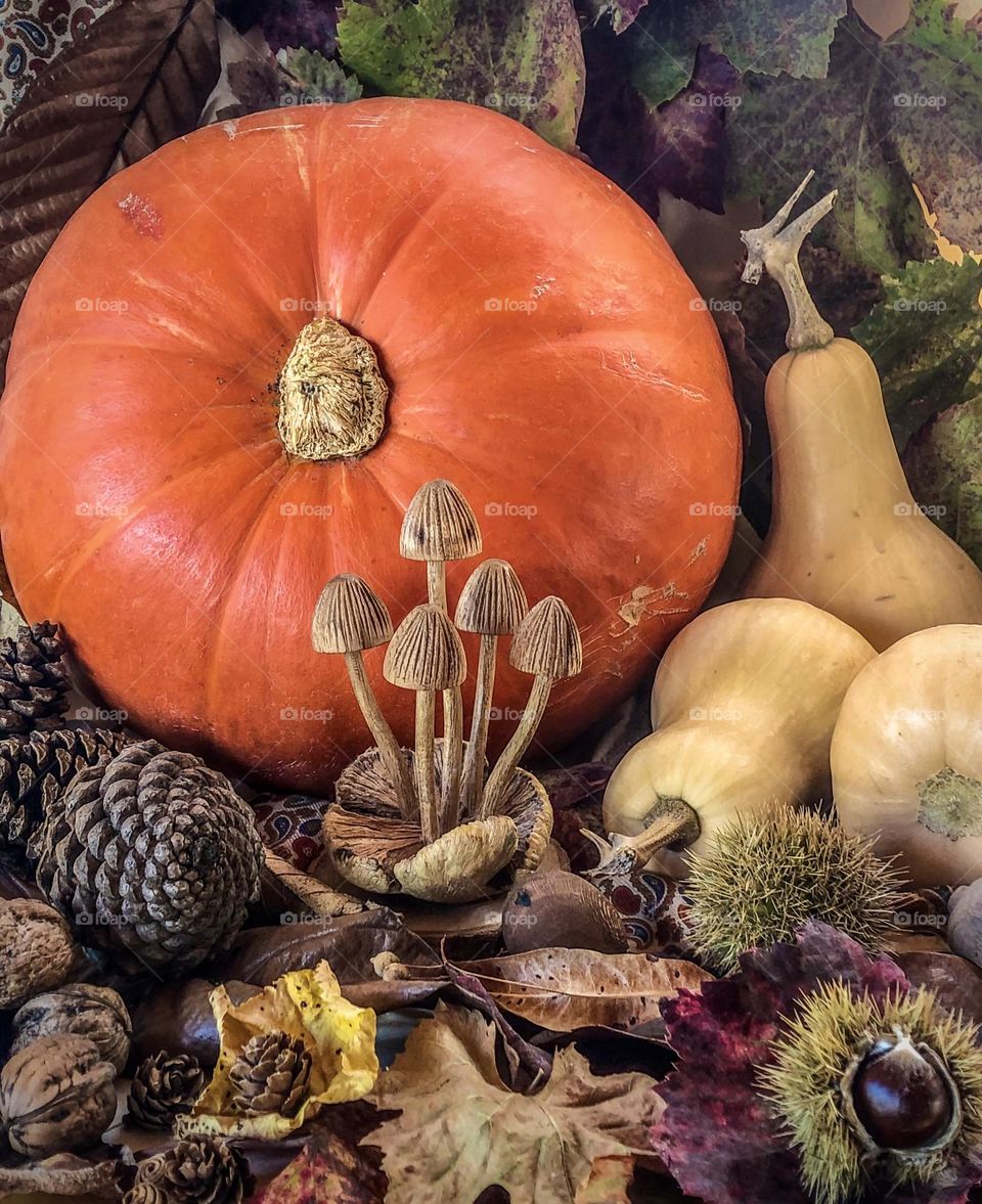 Display of autumn vegetables with pinecones and nuts