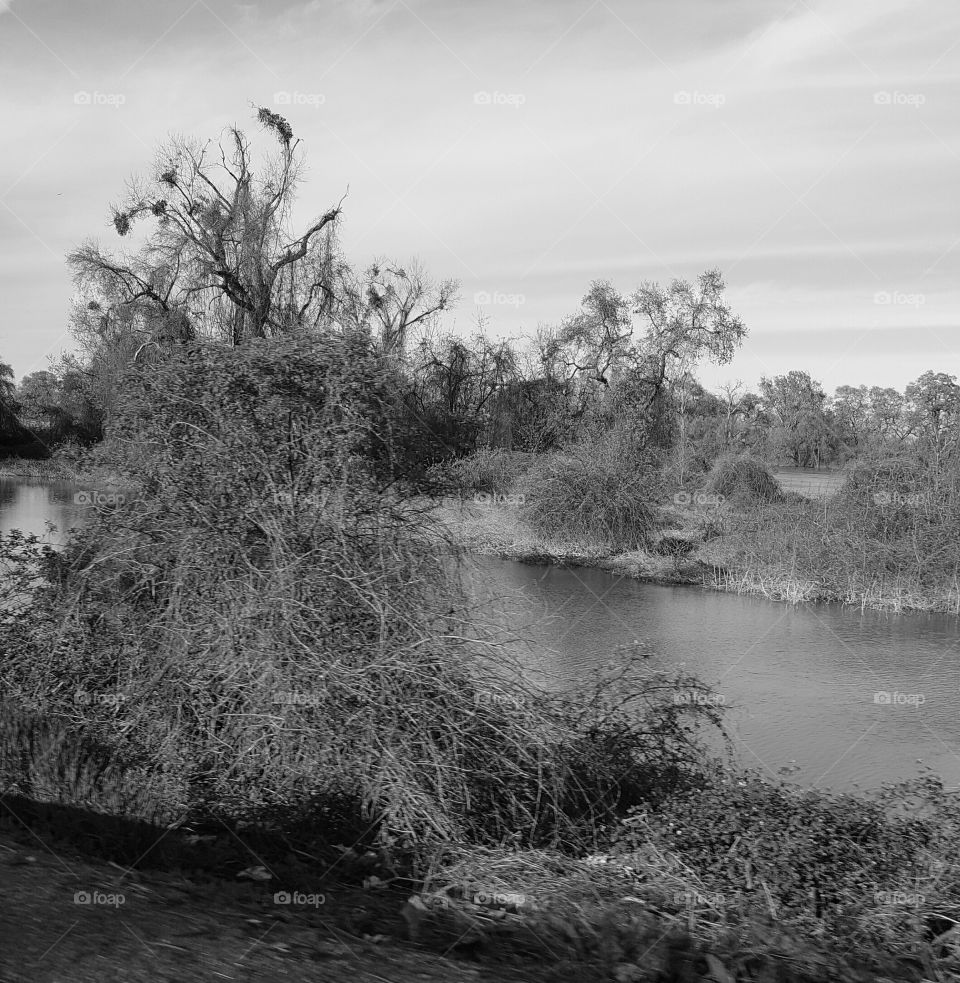 along the Sacramento river in black and white