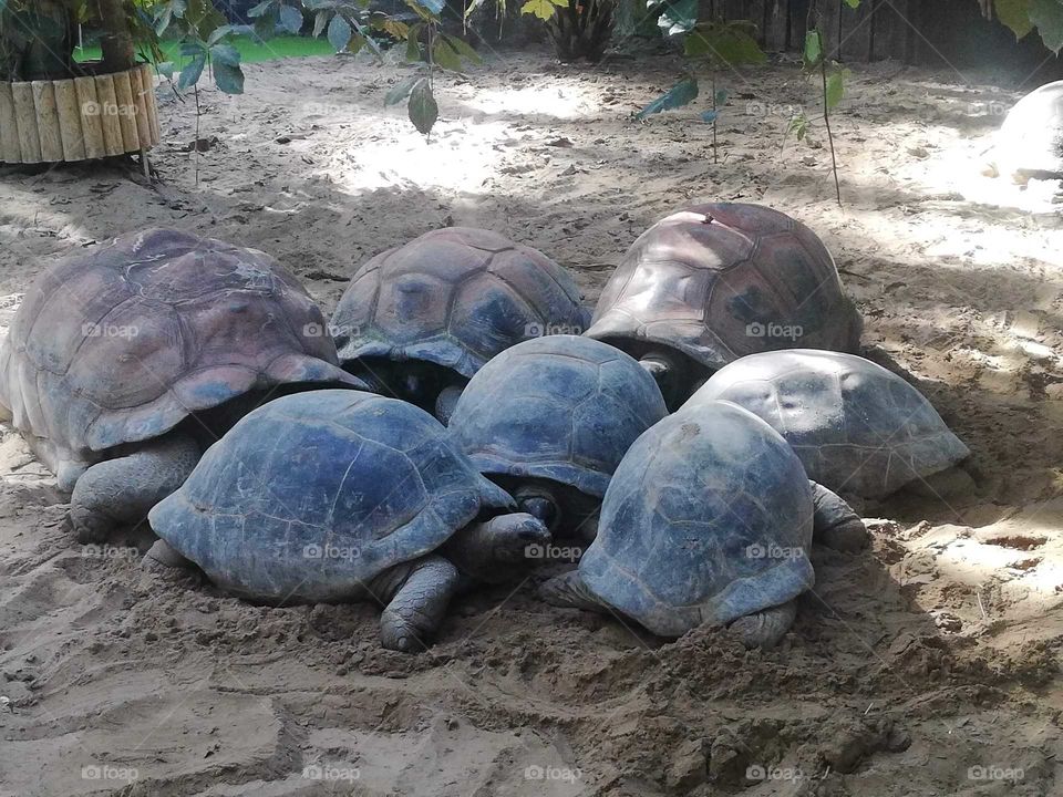 parco delle cornelle/italy