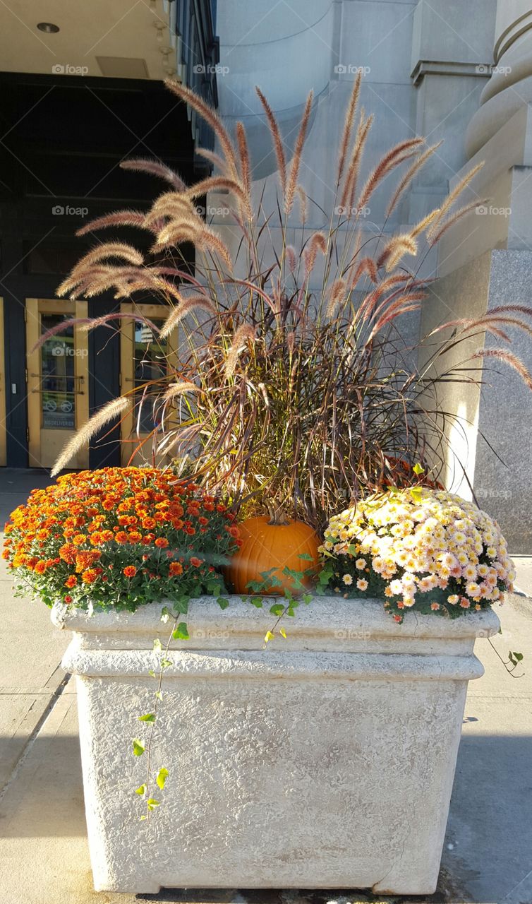 Fall Pumpkin Floral Display