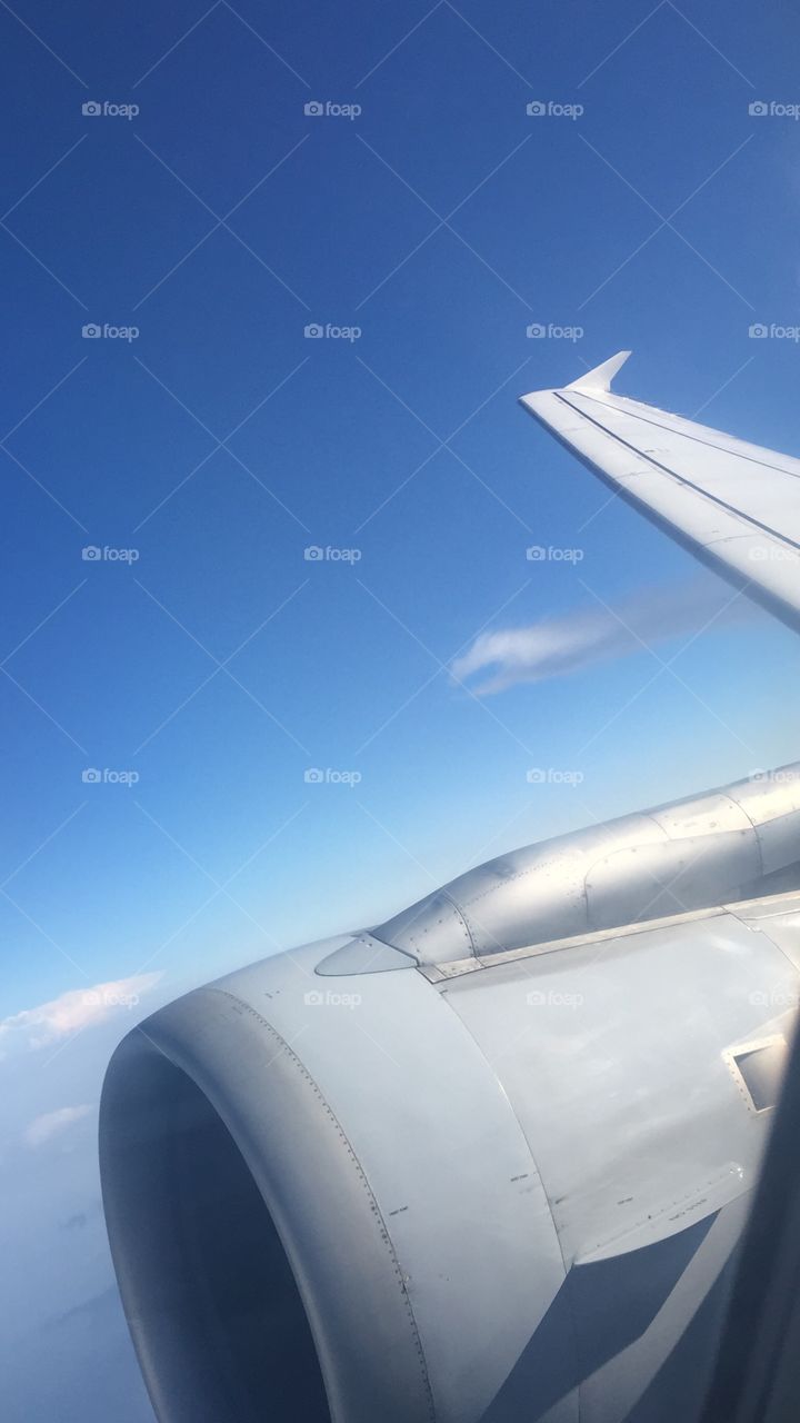 Airplane flying in the sky