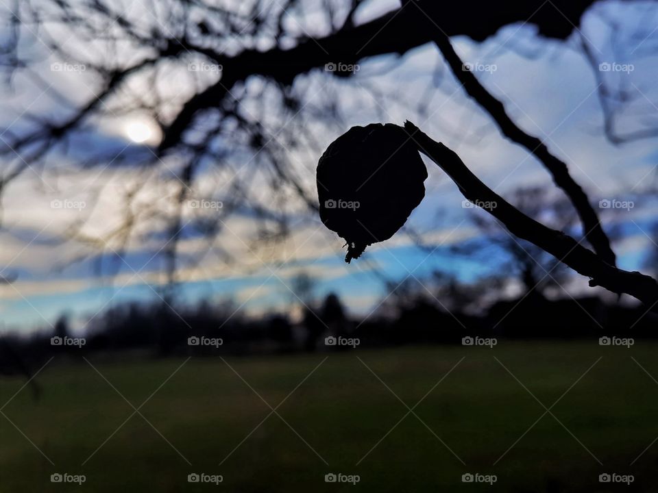 Cloud sky! Lazareva 04.12. 2020
