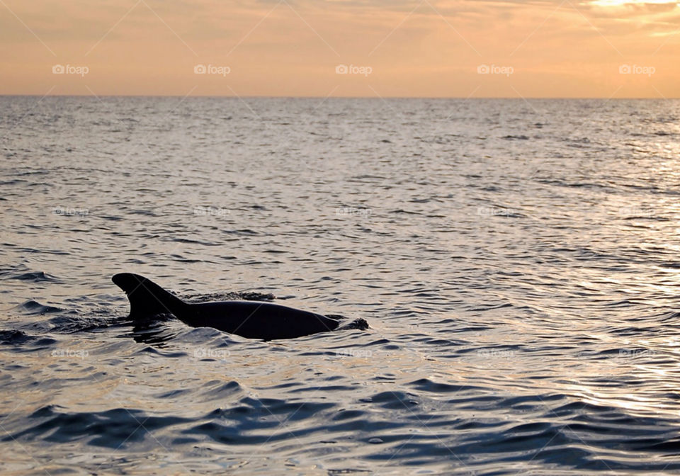Taken off of our boat when we lived on the Northwest, FL coast.