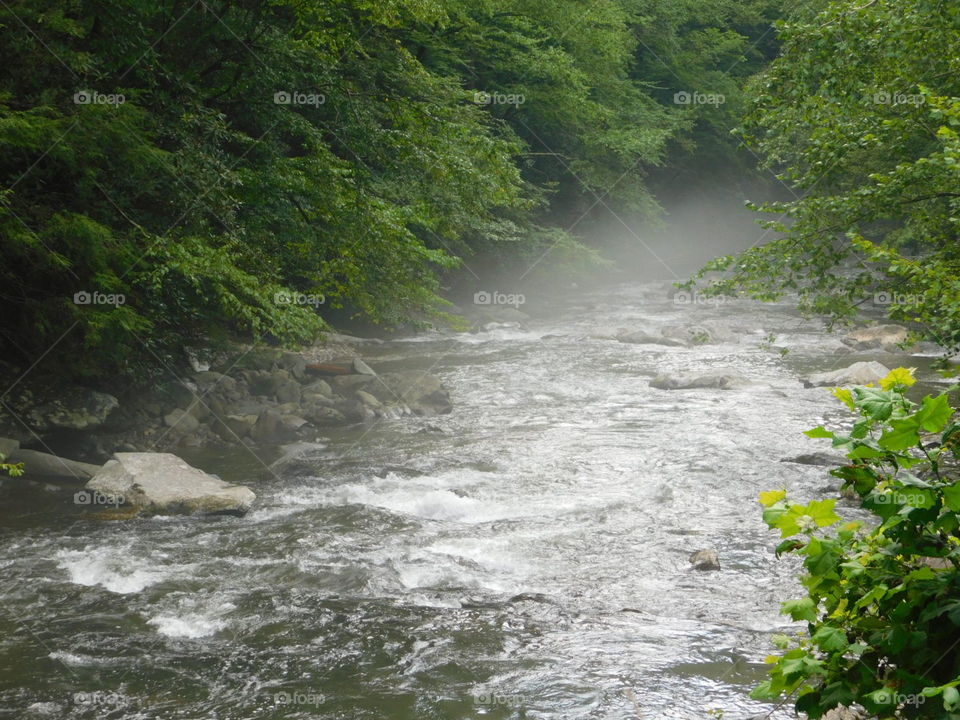 steam coming off rapid river in Tennessee mountains