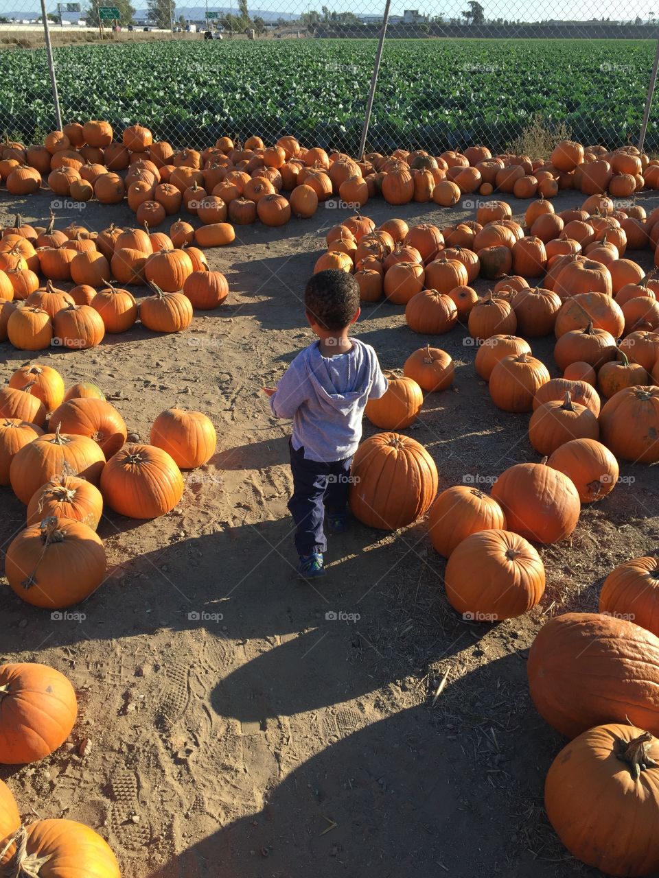 Day at the pumpkin patch