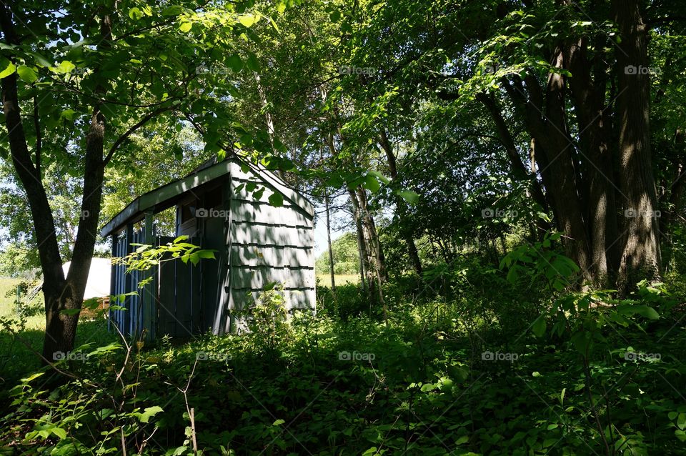 Nature. Shack