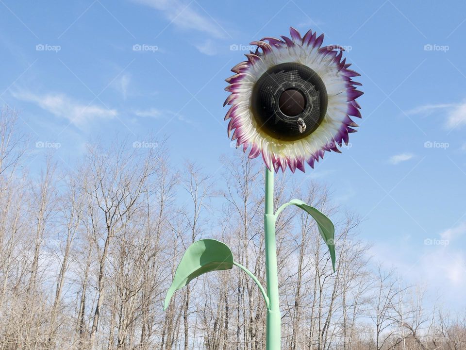 Metal sunflowers adorn a children’s vegetable garden, in a local metro park. 