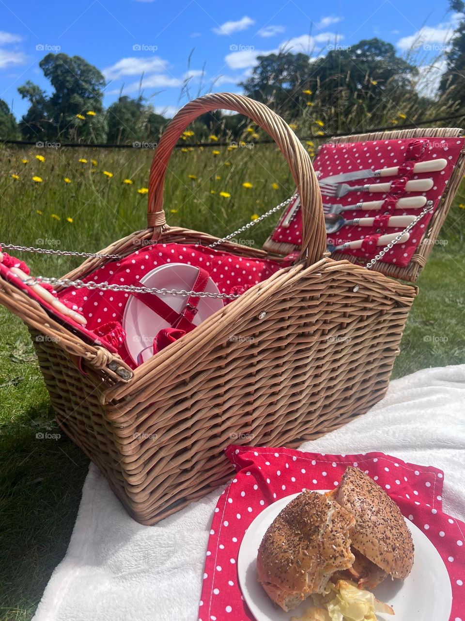 picnic in the grounds