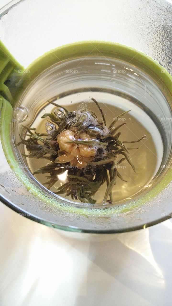 blossom tea flower in pot almost fully opened