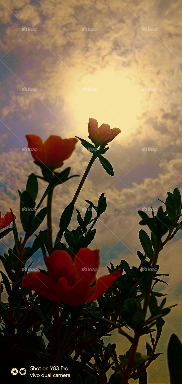 #today #love #instagram #instagood #like #follow #photography #life #photooftheday #me #happy #picoftheday #beautiful #instadaily #nature #fashion #photo #art #likeforlikes #smile #motivation #myself #now #style #day #selfie #music #insta #l #bhfyp