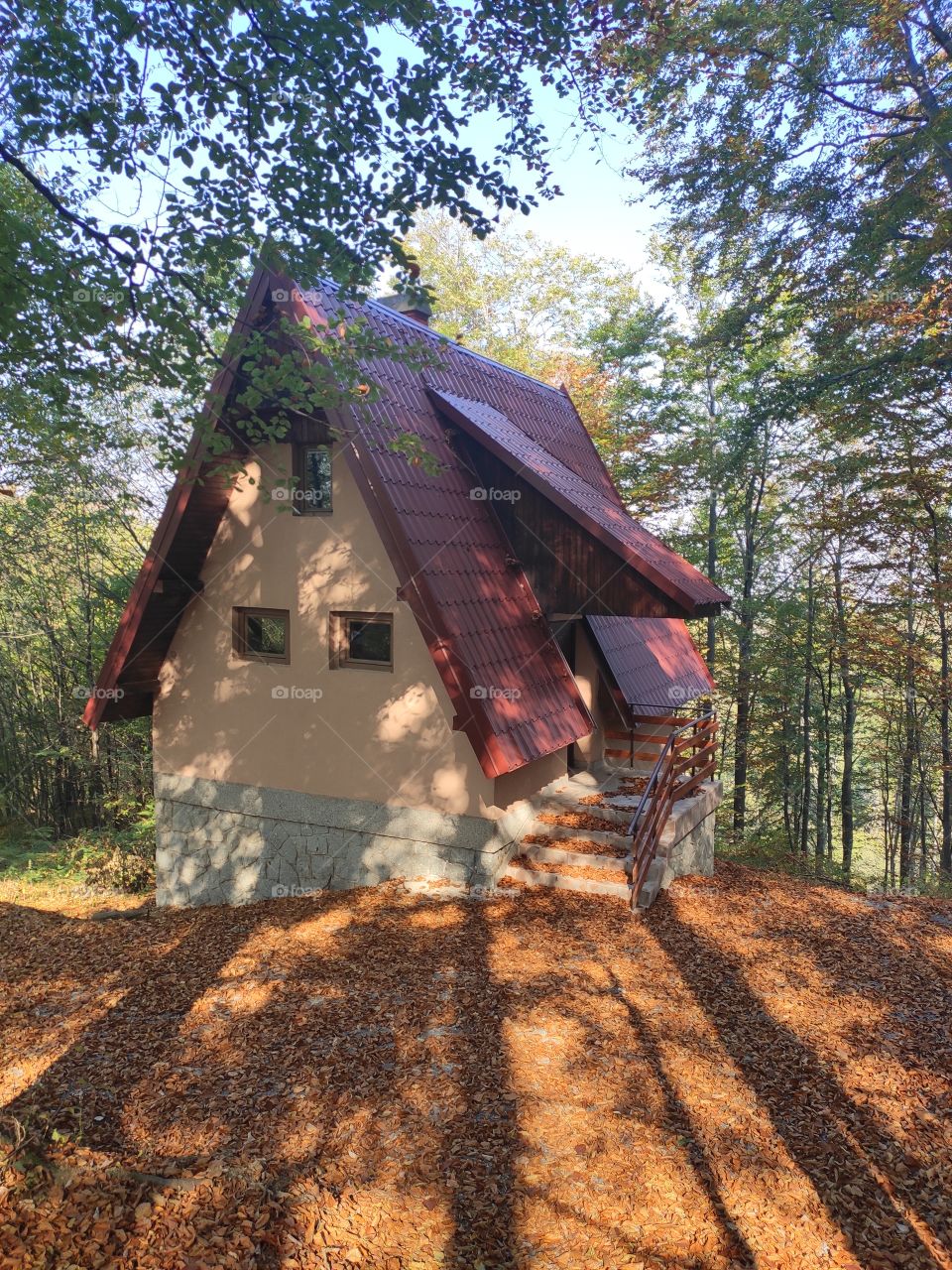 Mountain Rudnik Serbia mountain House in forest