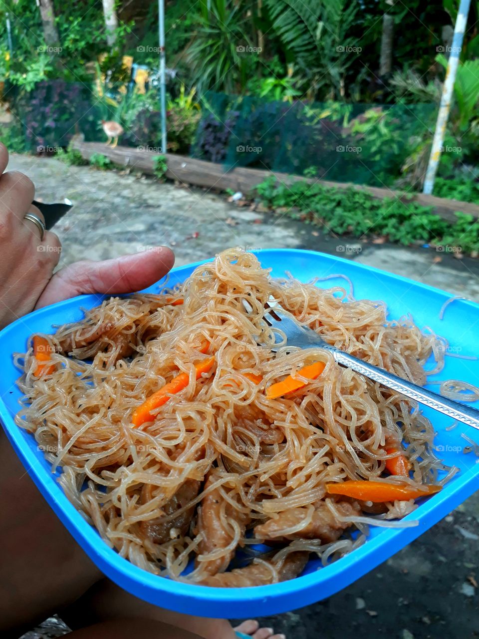 Pancit: A Filipino style Noodles