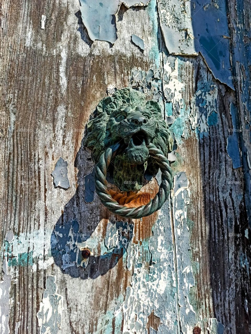 Door knobs. Unusual doorknobs. lion door handle. lion door knobs
accessories, doors, art, architecture, unusual, vintage doors, vintage doorknobs. Knob, doorknob , Venice door knobs, Italian knobs, Venice, Italy.