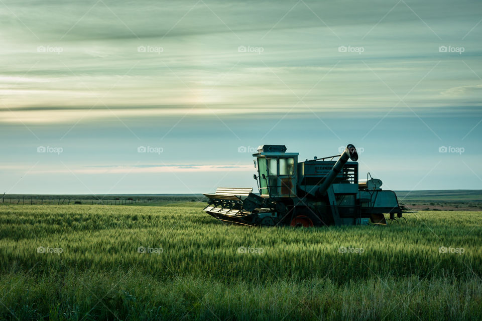 Kansas combine 