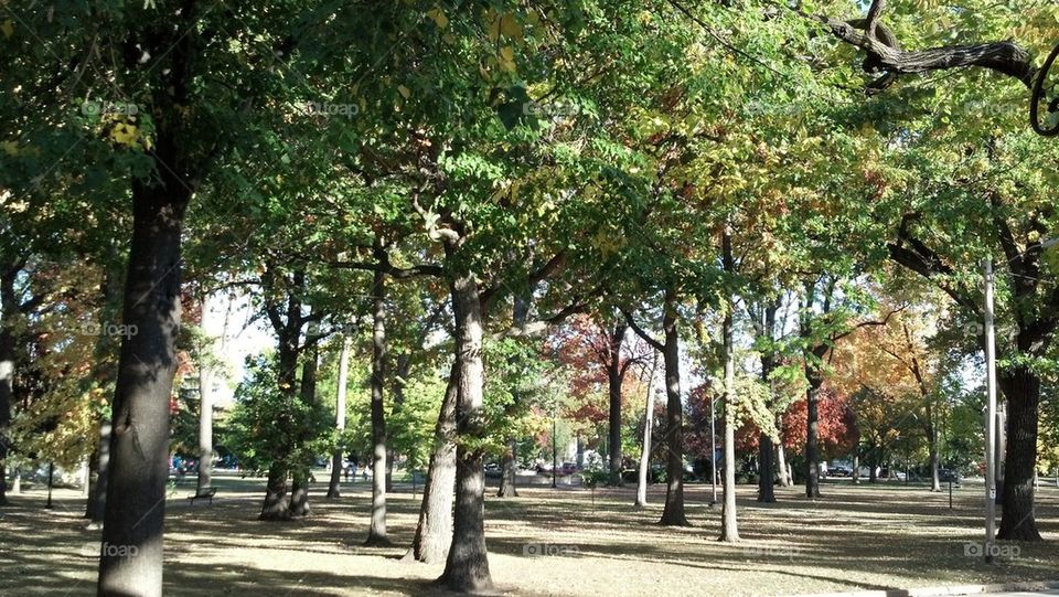 Autumn Park