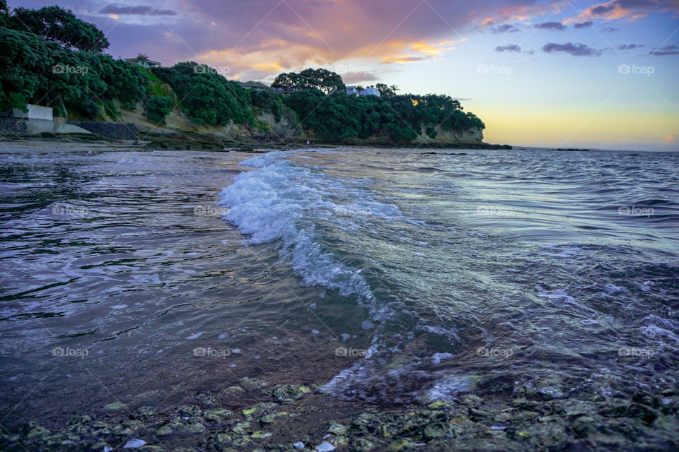 Narrow neck beach auckland