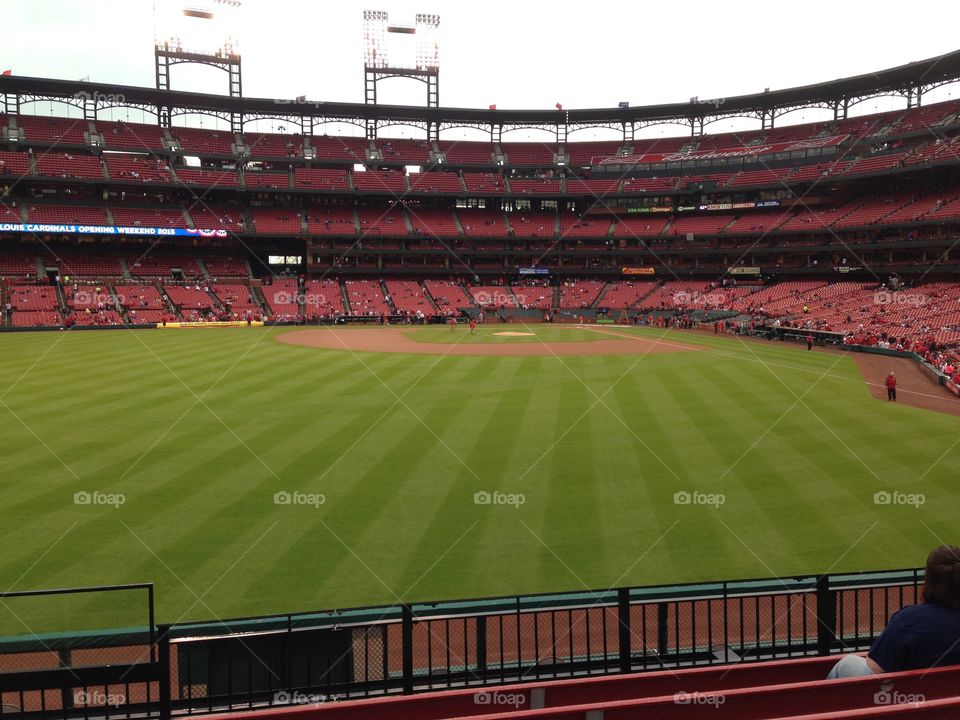 View from the Outfield 