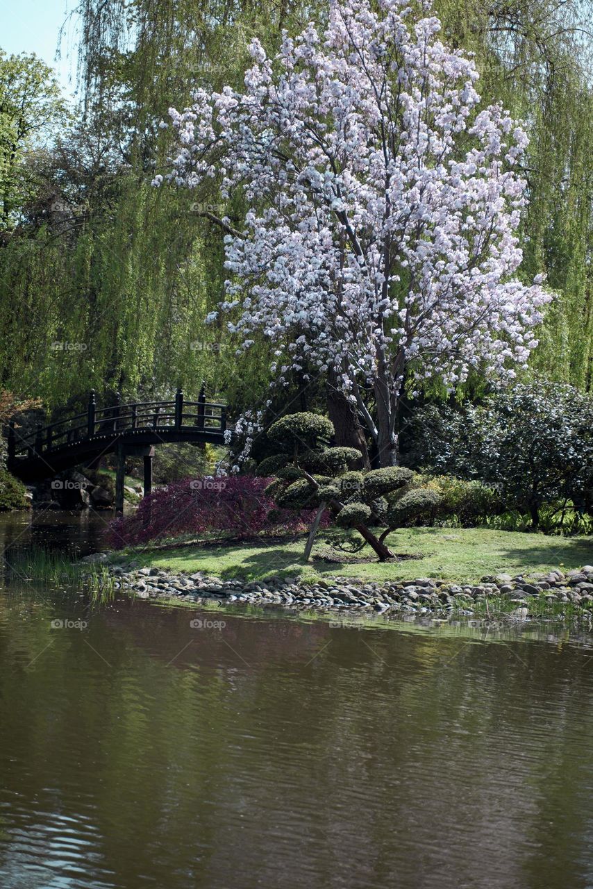 Japanese style park in Wroclaw, Poland.