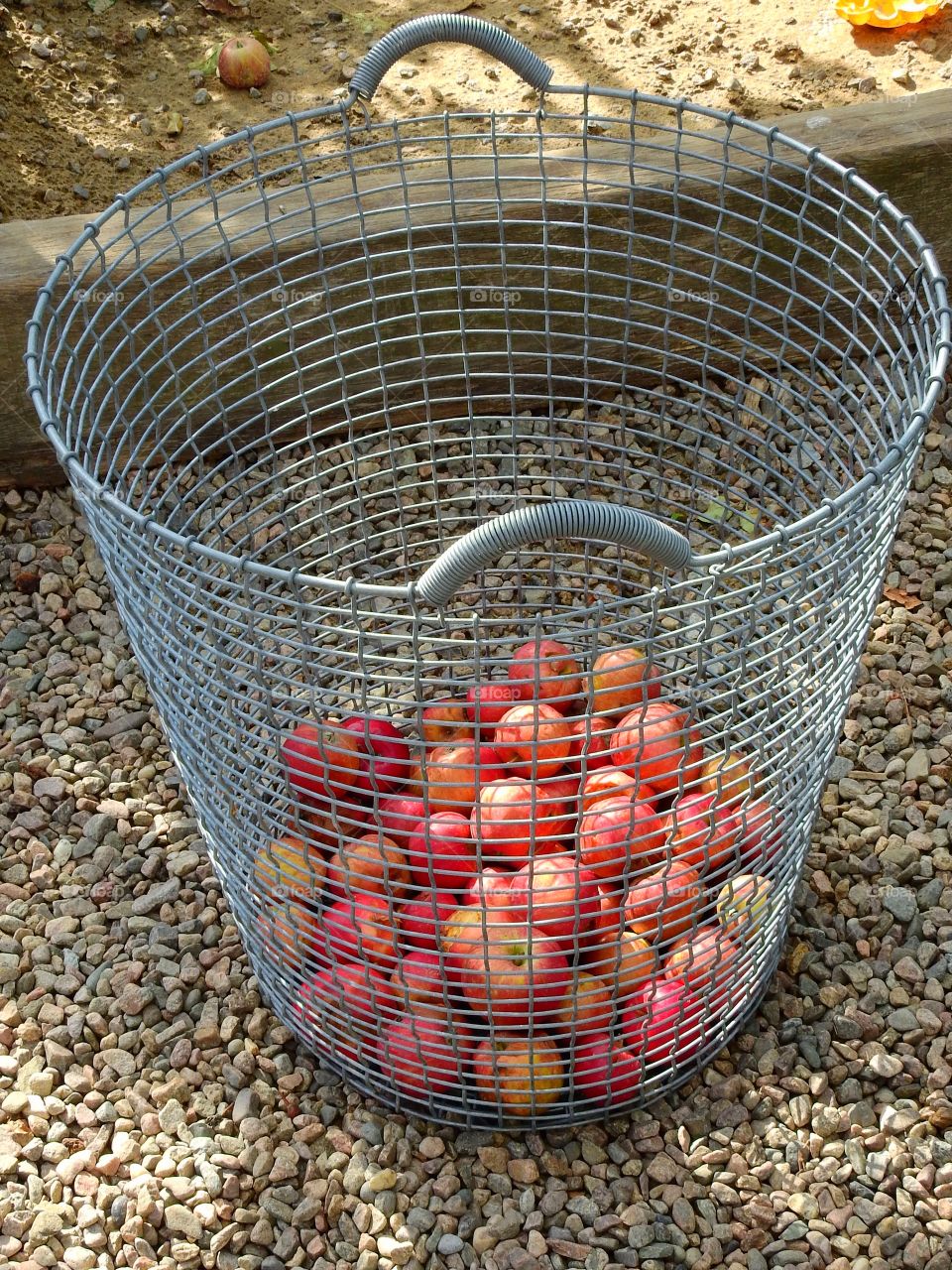 Apples in steel basket 