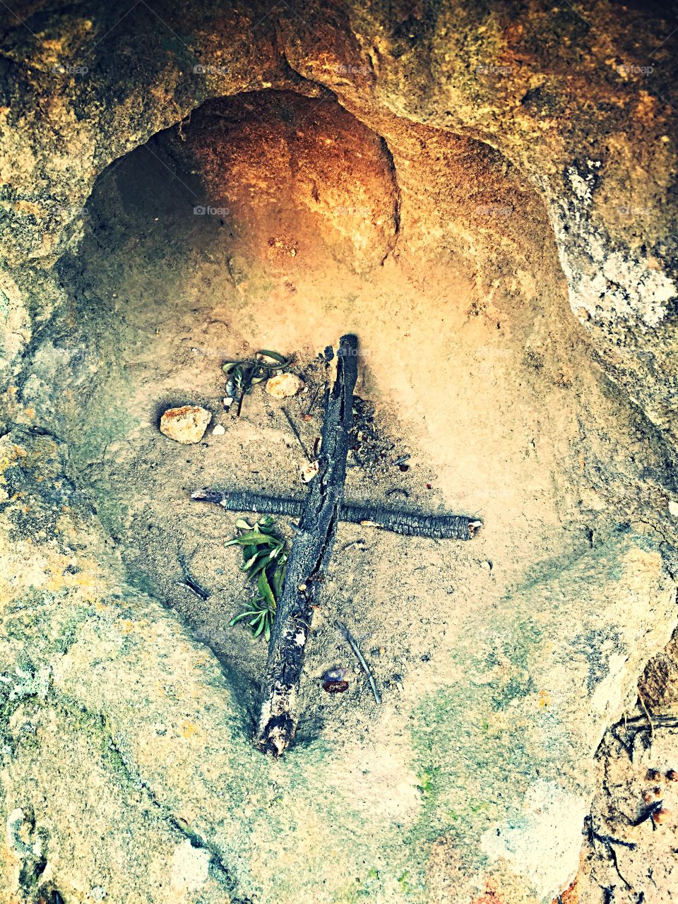 Torrey Pines Reserve