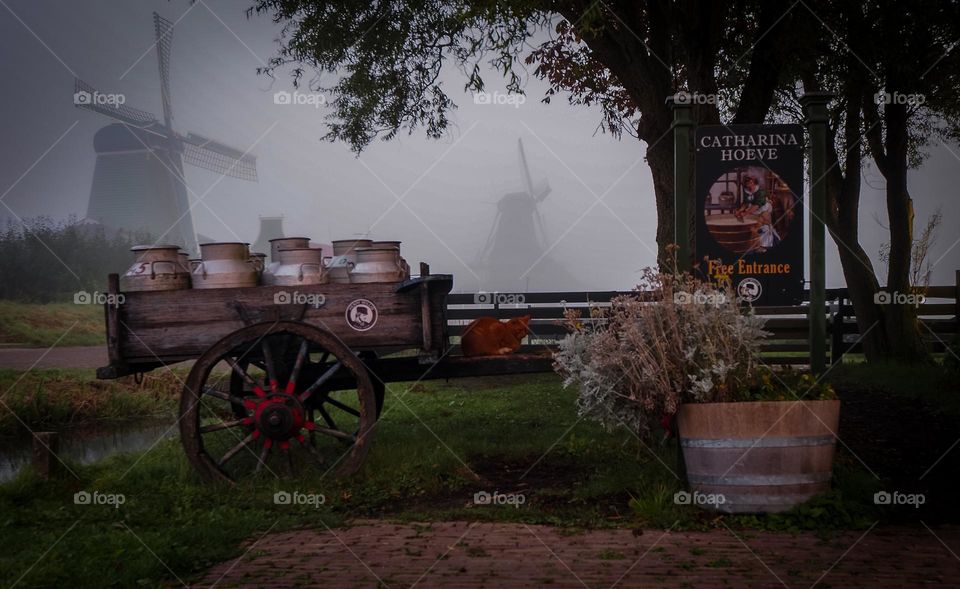 wanderings through Dutch history