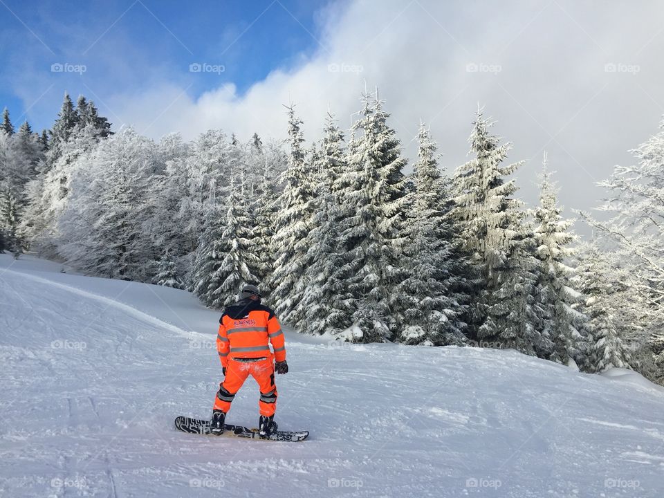 Snowboarder on the ski slope surrounded by snowy forest 