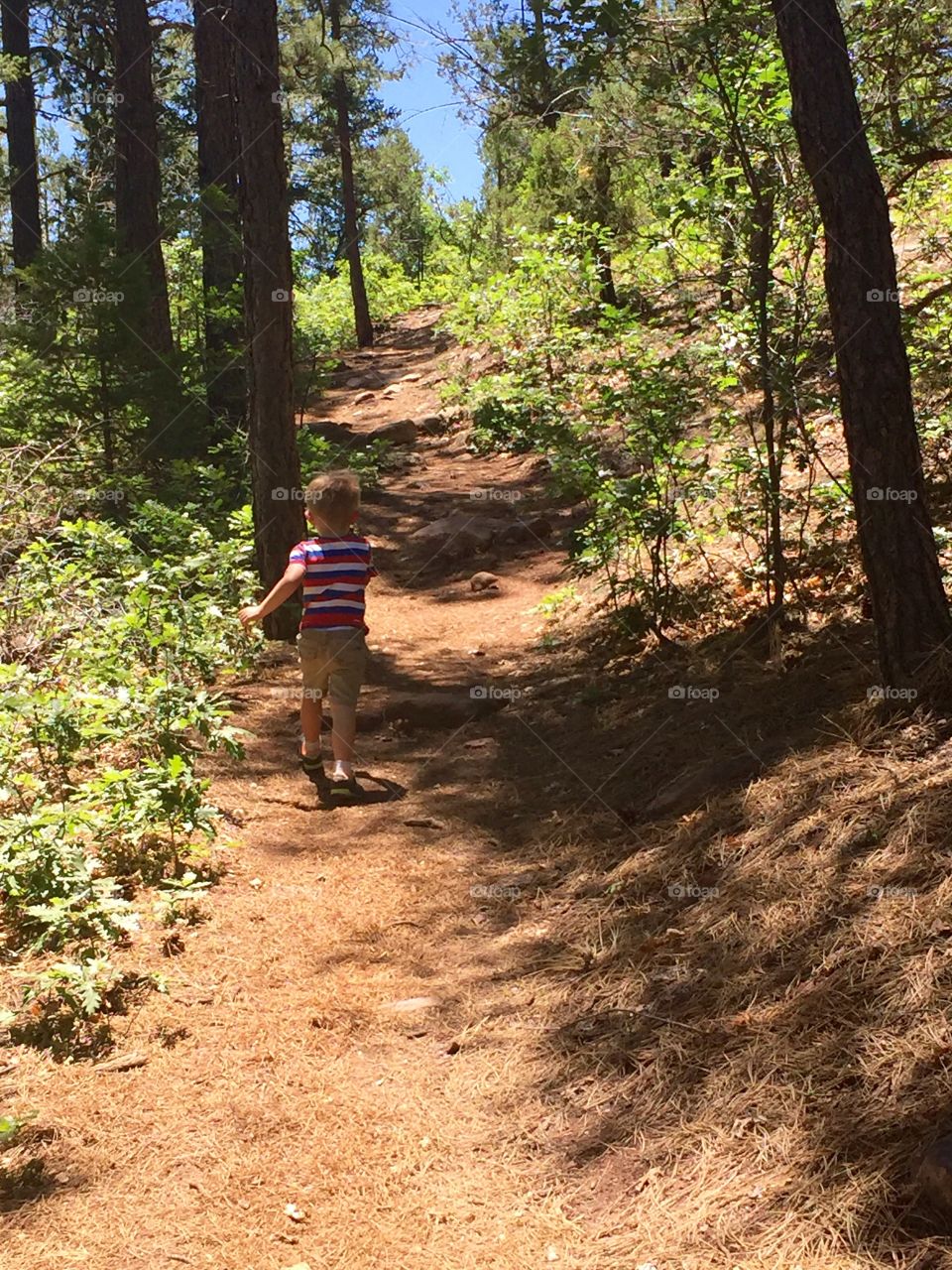 Boy on a Hike