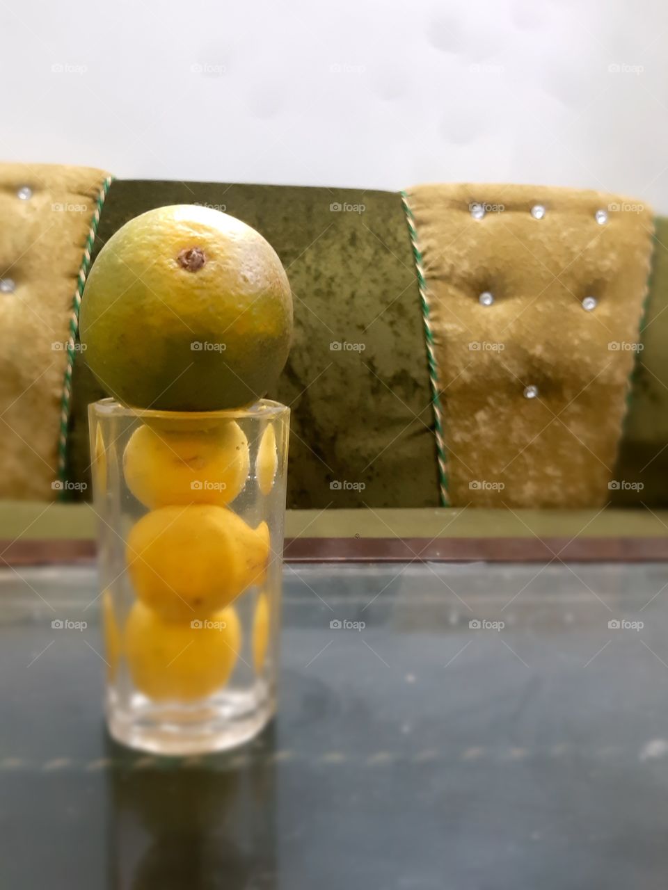 "Be kind to every kind"