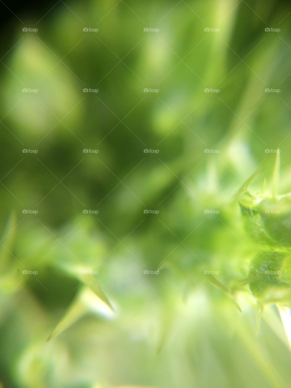 Green Blur 1 