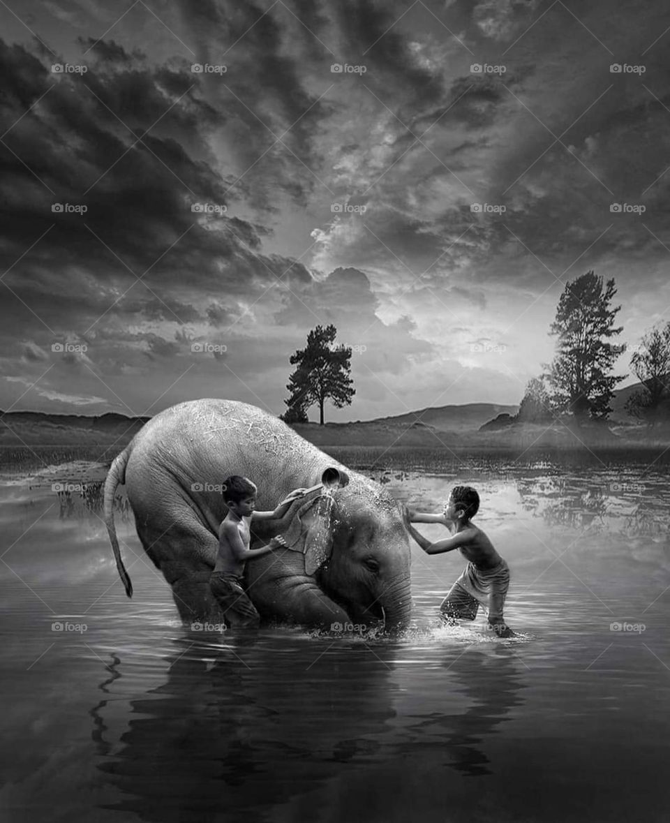 Children playing with the elephant