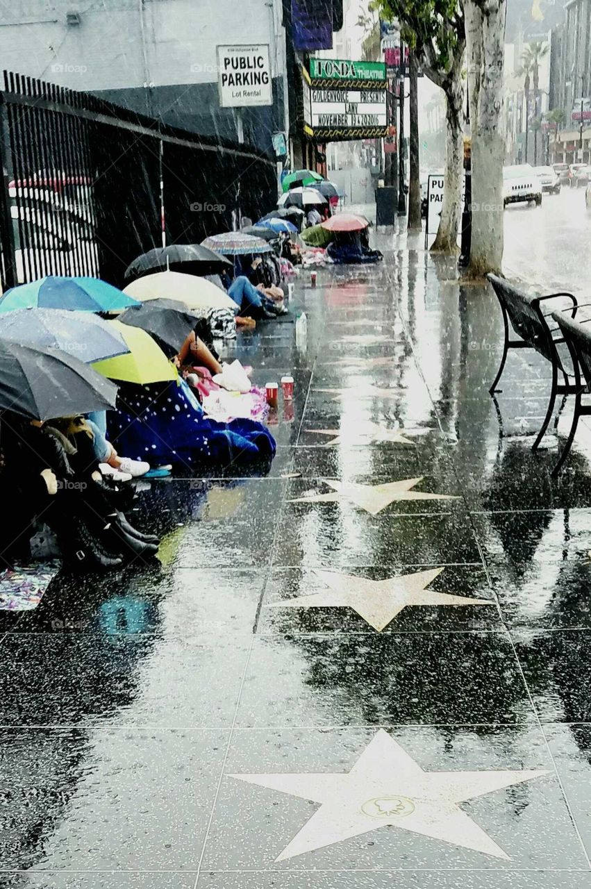 Rainy Hollywood walk of fame and dreams