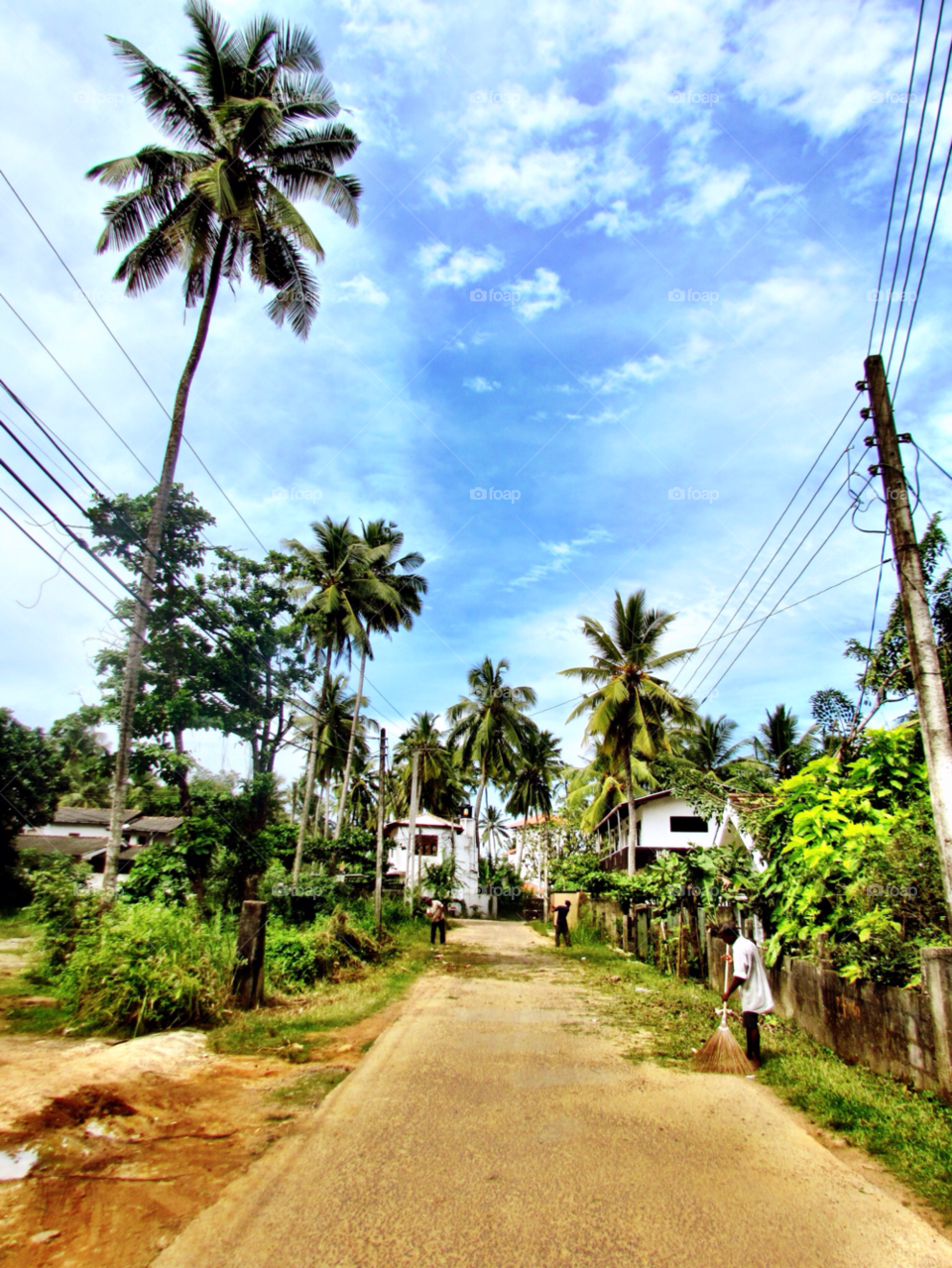 sky hot tree path by jadeh