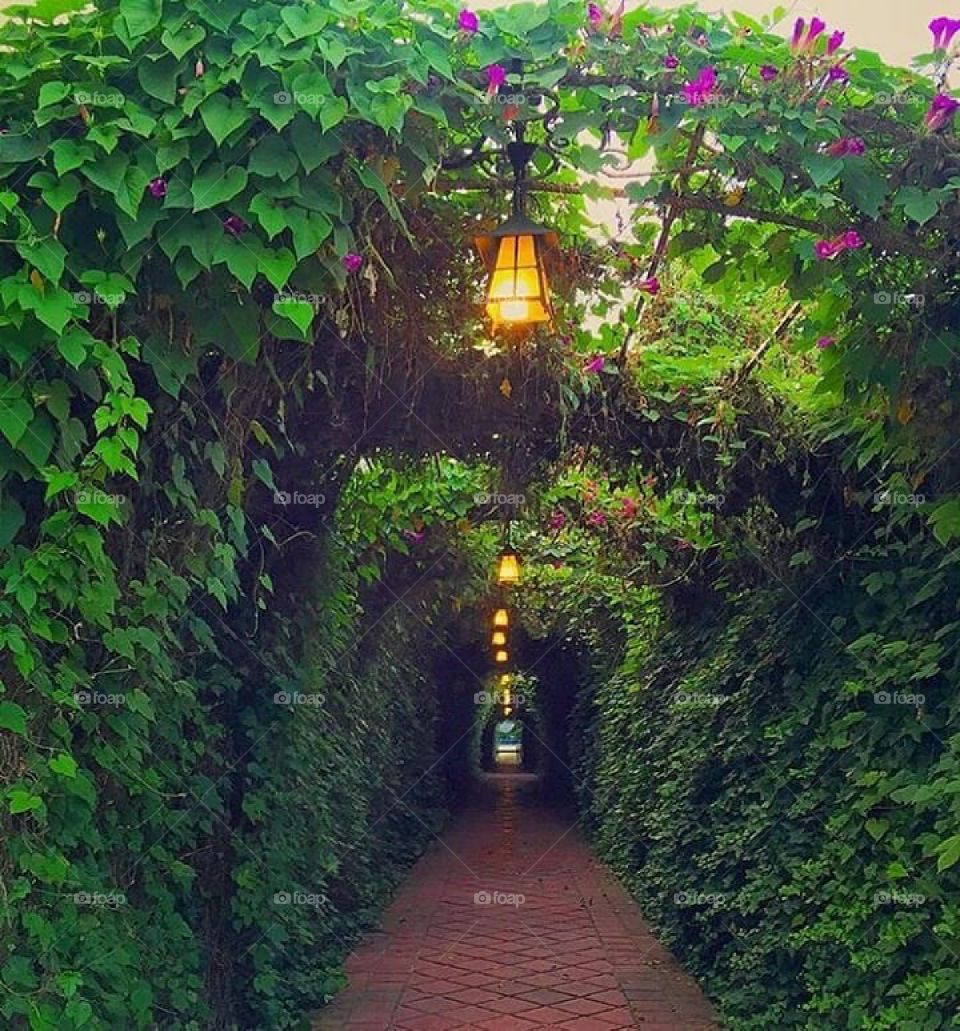 Iran, Nature, Spring