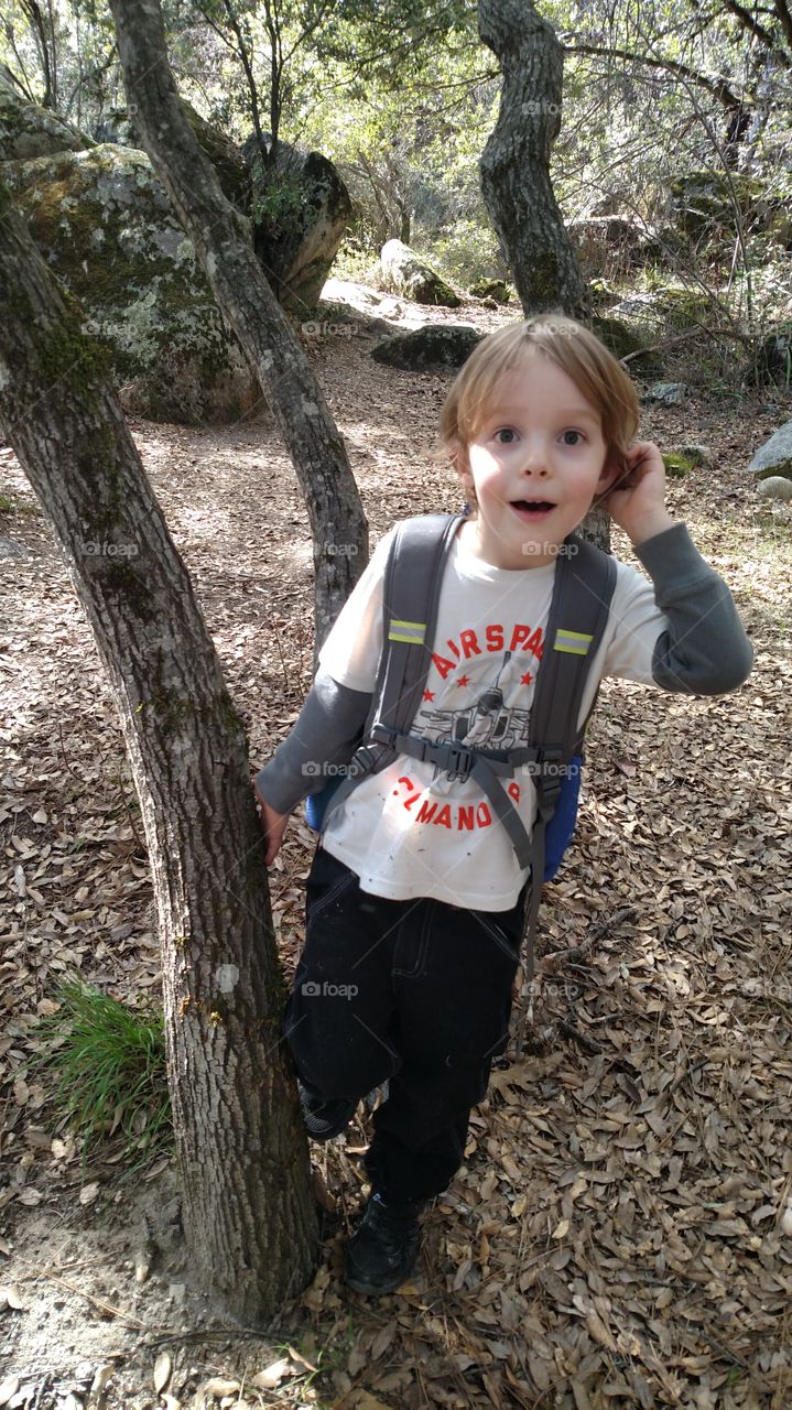 Little boy hiking