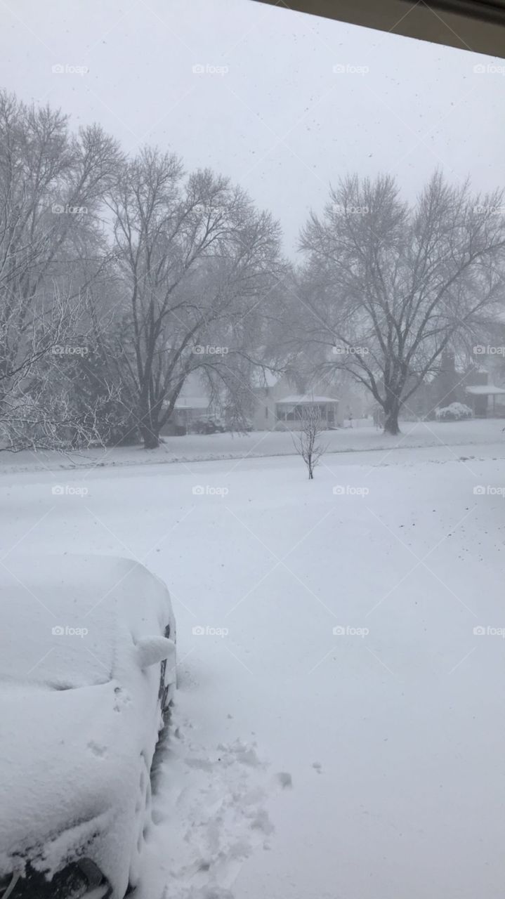 Another snowstorm