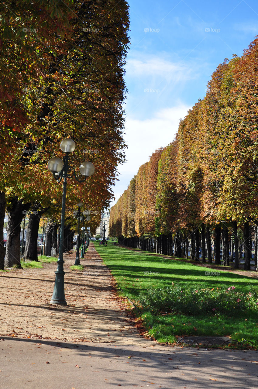 Autumn alley in Paris 