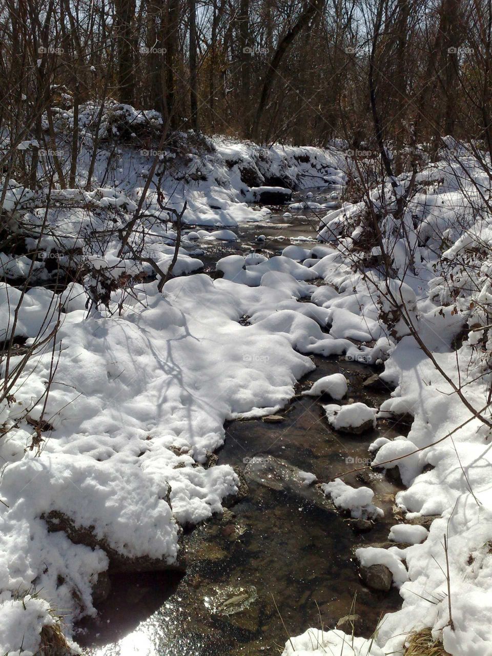 Hiking trails