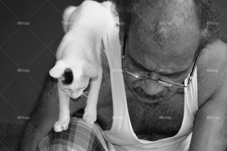 cutest pets in the world