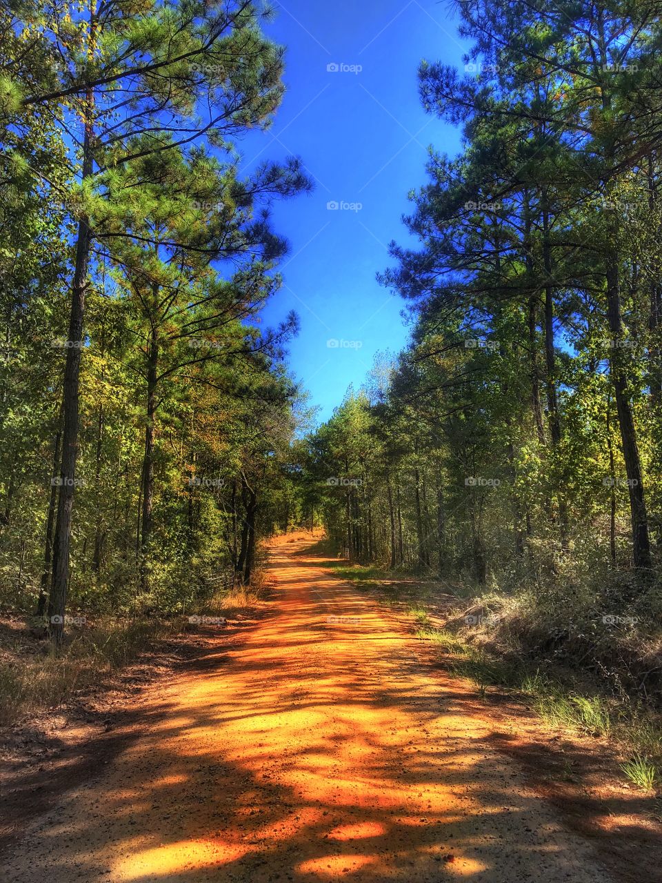 Long, Lonely Dirt Road