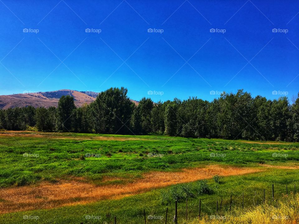 Beautiful green countryside! 