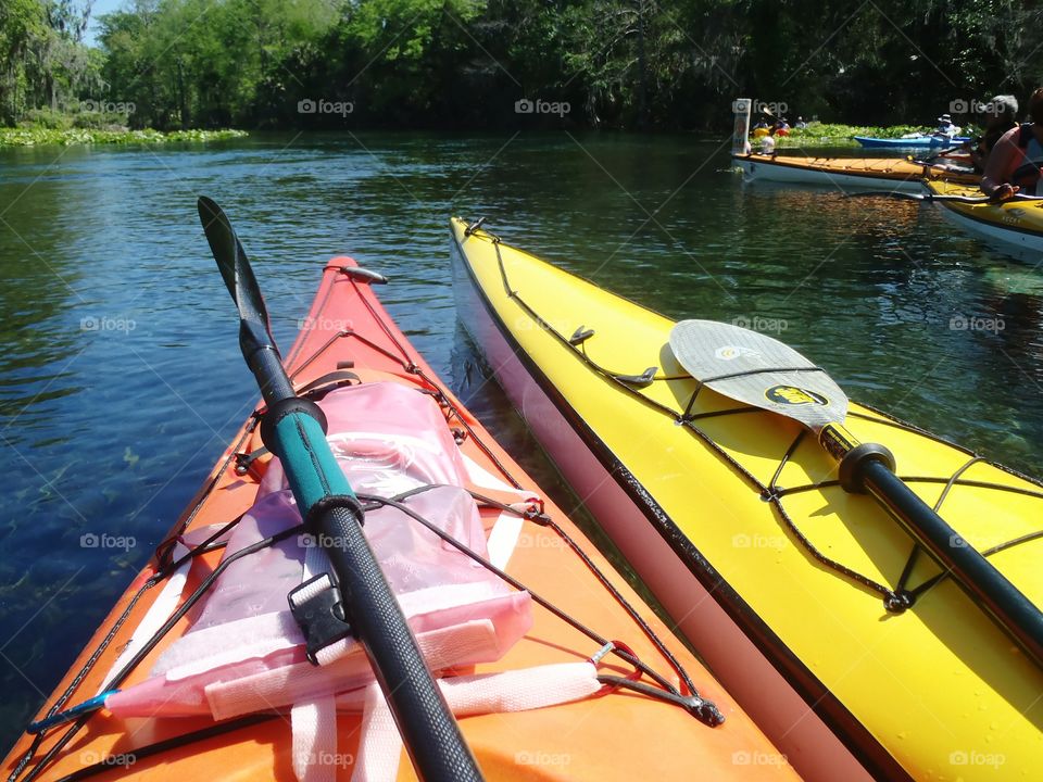Kayaks along the riverbank, Florida