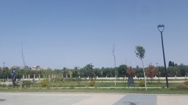 garden