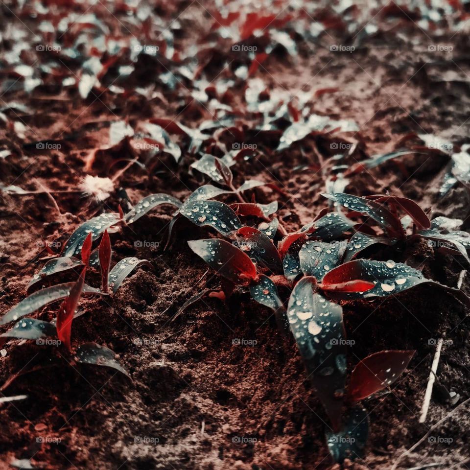 A calmness before a storm