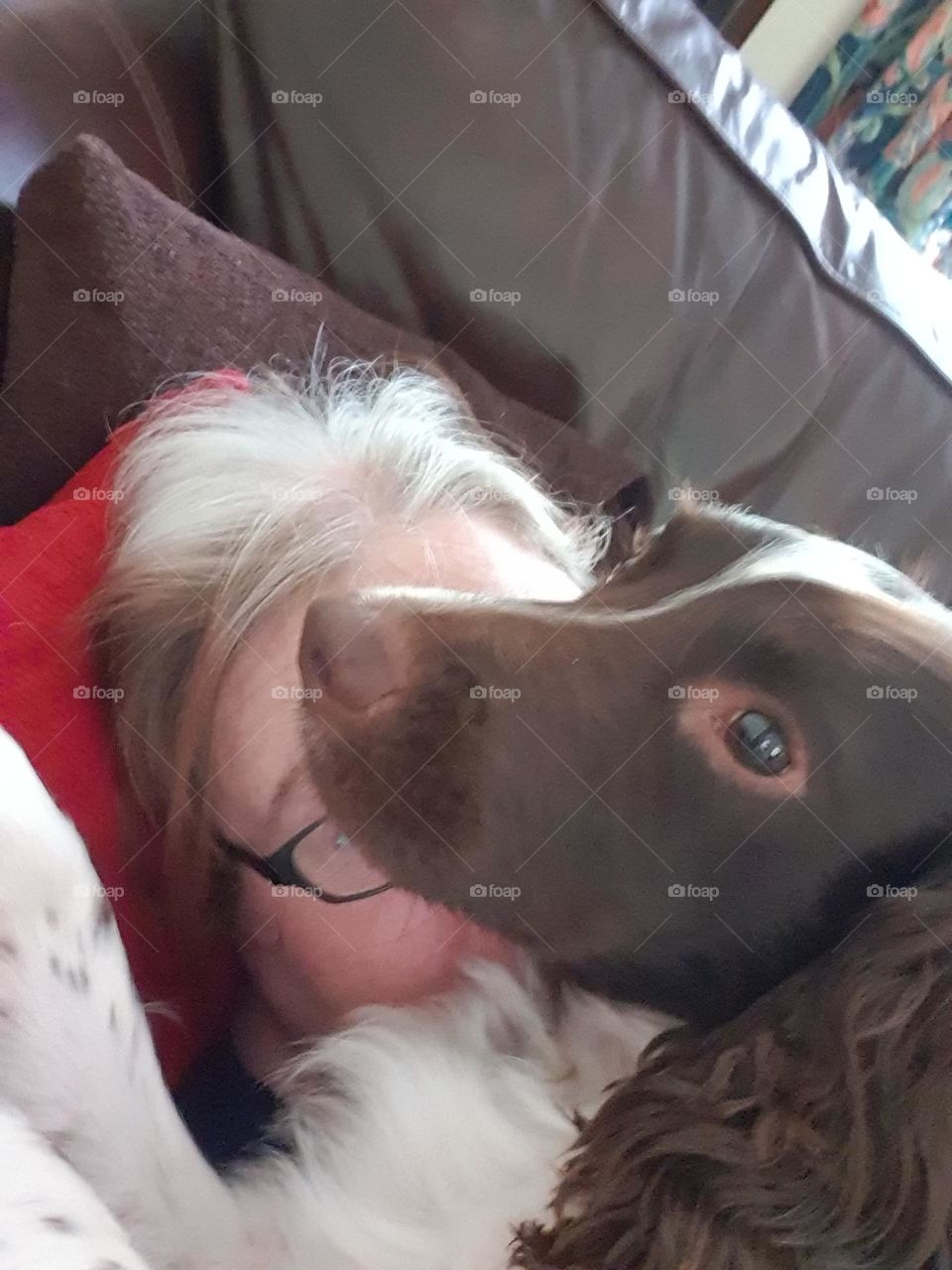 only i can see them, my human, mine!