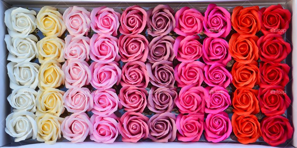 Ten shades of beautiful light colors. Soap roses.