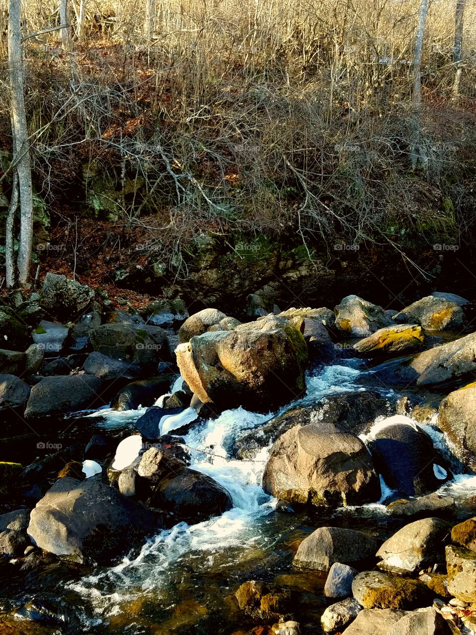 Damariscotta Fish Brook