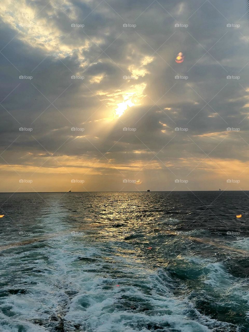 Cruise in the Emirates