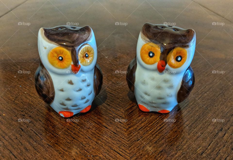 Owl Salt and Pepper Shakers