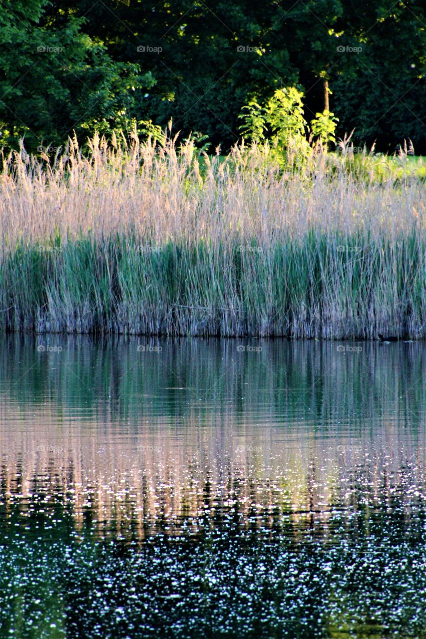 Reed reflection