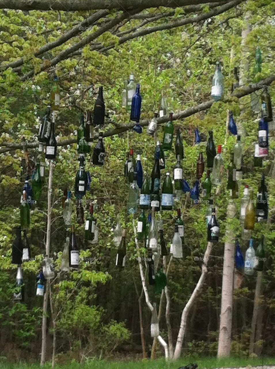 Bottle tree